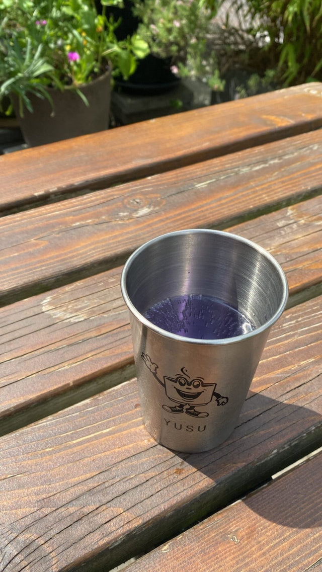 SUSY Silver Cup